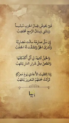 فَتىً يَخوضُ غِمارَ الحَربِ مُبتَسِماً وَيَنثَني وَسِنانُ الرُمحِ مُختَضِبُ إِن سَلَّ صارِمَهُ سالَت مَضارِبُهُ وَأَشرَقَ الجَوُّ وَاِنشَقَّت لَهُ الحُجُبُ وَالخَيلُ تَشهَدُ لي أَنّي أُكَفْكِفُهَا وَالطَعنُ مِثلُ شَرارِ النارِ يَلتَهِبُ إِذا اِلتَقَيتَ الأَعادي يَومَ مَعرَكَةٍ تَرَكتُ جَمعَهُمُ المَغرورَ يُنتَهَبُ #حكاية_قصيده #abyat20 