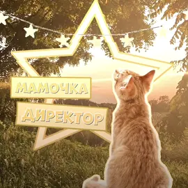 теперь только на добрых вайбах? @Вокальный коллектив КСБ #elbruso #эдит #ксбмузик #ksb #ksbmuzik 