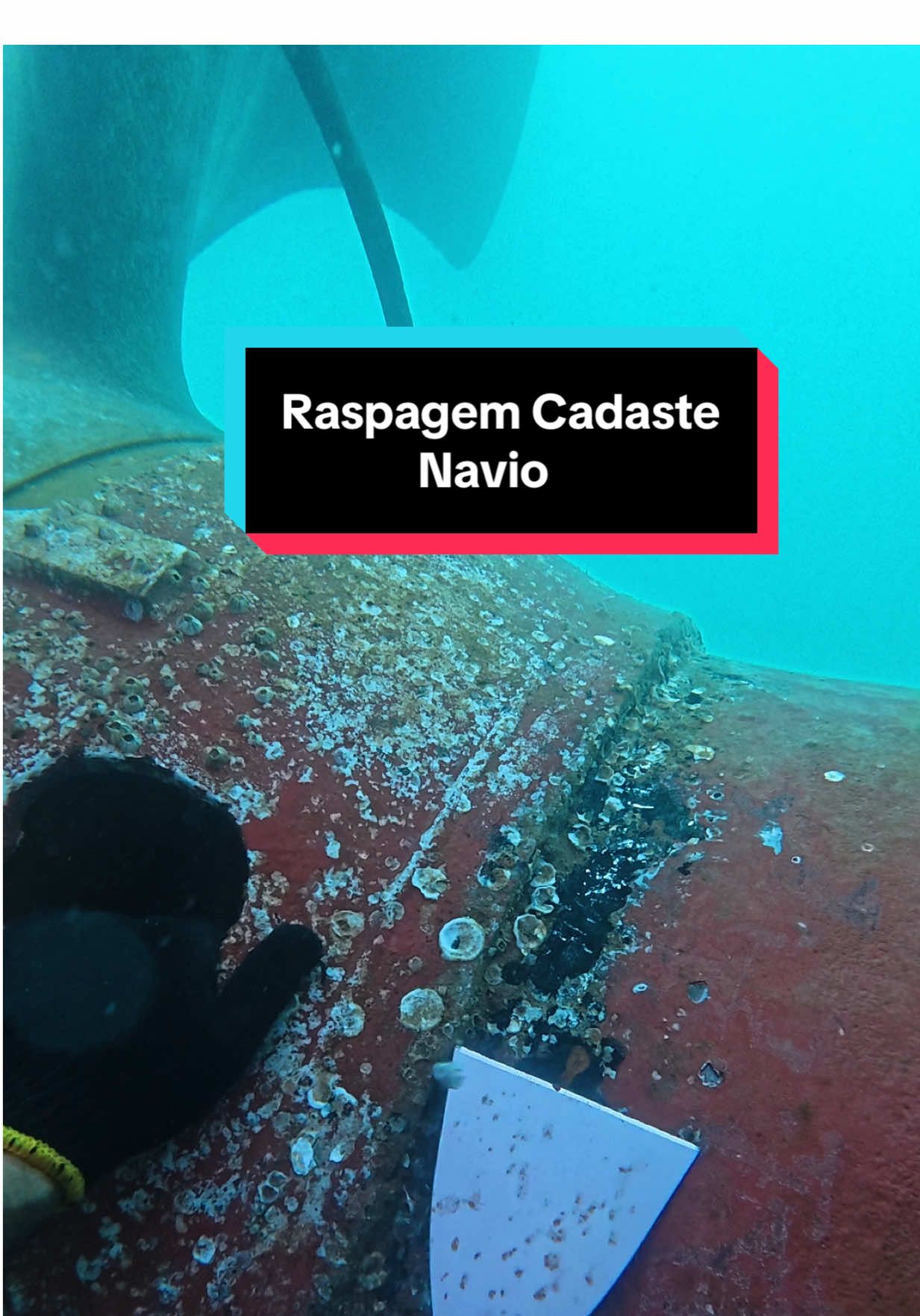 Raspagem Cadaste Navio #workhard #dive #ship #work #hull #mergulho #buceo #trabalho #navio 