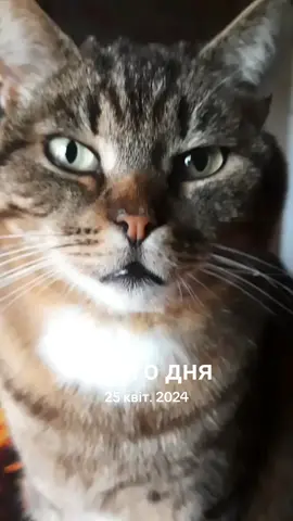 #цьогодня