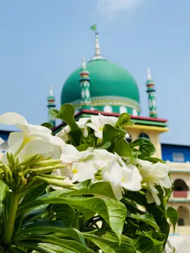 #jameyaahmadiasunniamadrasa 🤍 সুন্নিয়তের প্রাণকেন্দ্র🫶🤍