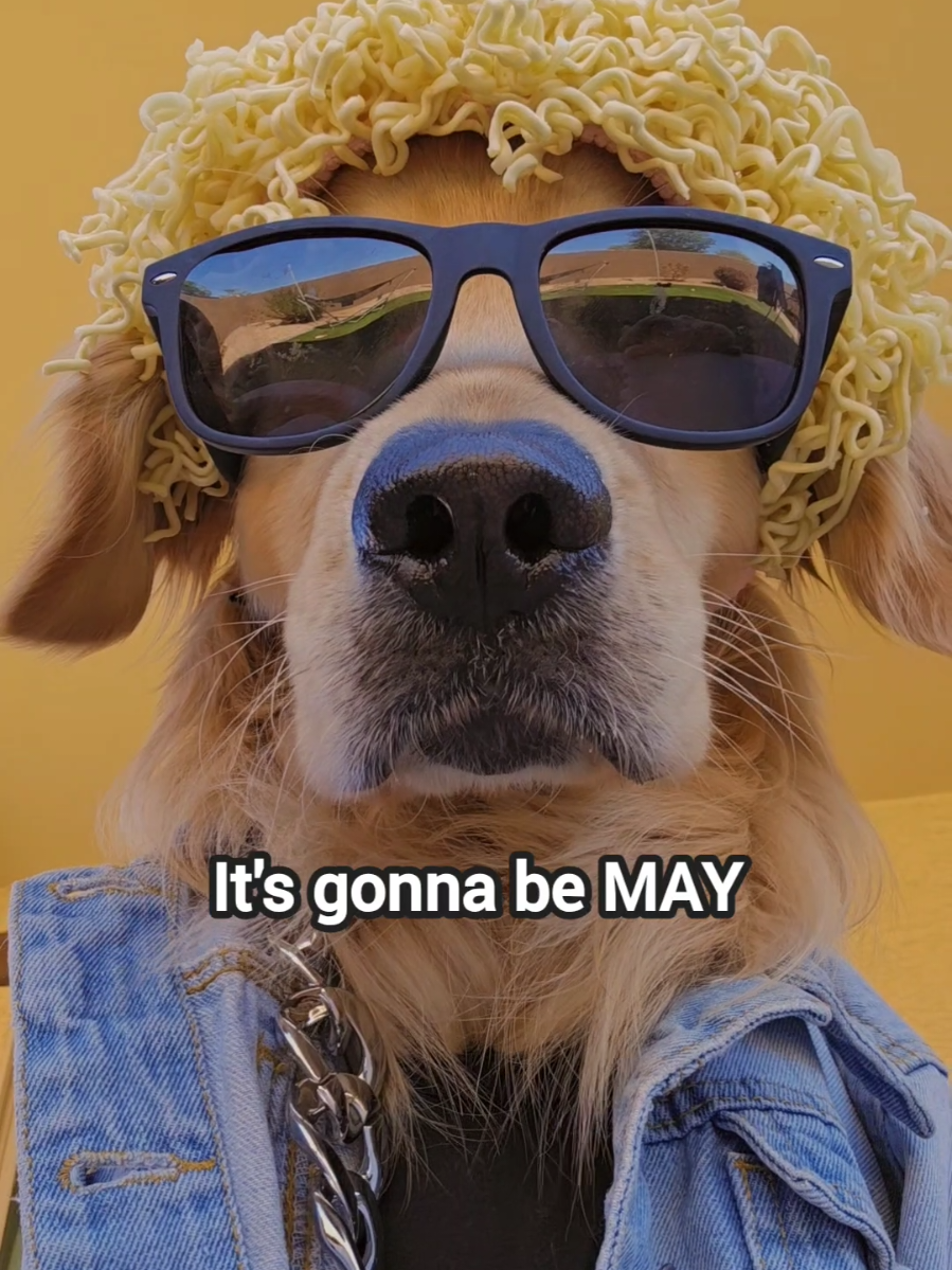 It's gonna be May 😎 #waitforit 