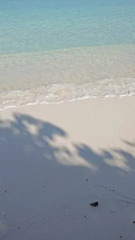 #maldives 