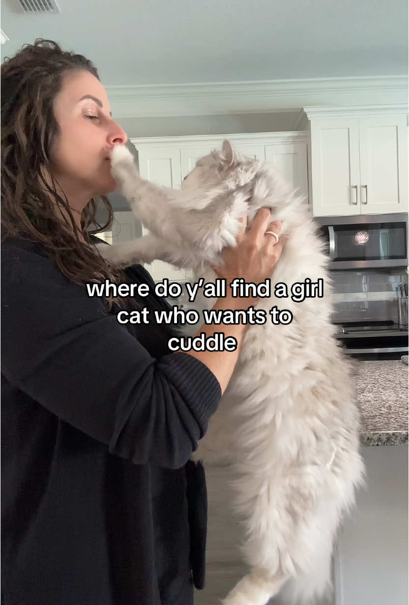 4 years & still nothing has changed w her #catsoftiktok #fyp #cat #trending #cattok 