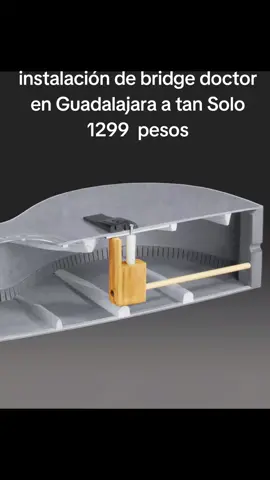 ¡PROMOCIÓN ESPECIAL PARA TU GUITARRA O DOCEROLA ACÚSTICA! ¿Tu puente se está levantando o quieres prevenir que eso suceda? En nuestro taller tenemos instalación de Bridge Doctor por solo $1,299 pesos. Incluye: Instalación completa Bridge Doctor de alta calidad, hecho en madera haya (más resistente que los de pino) Refuerzo en el tornillo que empuja la varilla de palanca, evitando que se barra Tubo de soporte hecho de acrílico, mucho más resistente que los comunes de nylon Este sistema ayuda a mantener la tapa de tu guitarra firme, evitando que el puente se incline por la tensión de las cuerdas. Importante: Esta promoción incluye únicamente la instalación y piezas del Bridge Doctor. No incluye ajustes adicionales de tu instrumento. ¡Cupo limitado! Manda mensaje y agenda tu cita antes de que se acabe, estamos en Guadalajara.