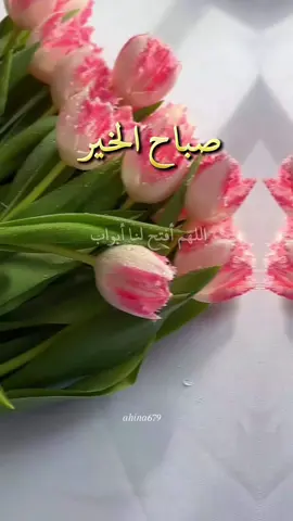 #صباح الخير والسعاده للجميع 🌹#صباح_الخير #دعاء_الصباح #صباحكم_أحلى_صباح #اللهم_امين_يارب_العالمين #اللهم #امين_يارب #صباحيات #صباح_الورد #اقتباسات #يارب #صباحكم_سعادة_لاتنتهي #الصباح_الجميل #دعاء_جميل #دعاء_يريح_القلوب #اللهم_امين #صباح_الخير #🌹 #❤️ #🌸#fypppppppppppppp #❤️ 