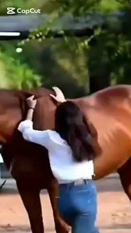 حسبك الله ياخل حسبك ريت قلبي وقع مثل قلبك راح مني طبيبه وحبك فيه مطبوع مامع العاشق بصر غير الدموع انت غاية مرادي وقصدي لك تخلصت واخلصت ودي مايقولوه العدى فيك عندي غير مسموع مامع العاشق بصر غير الدموع #ابوبكر_سالم 
