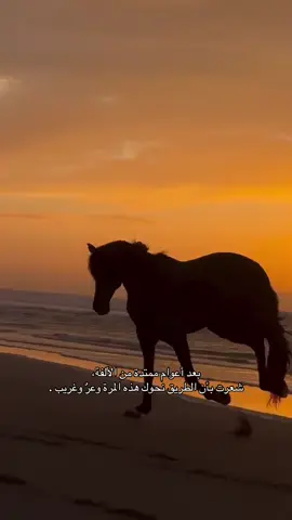 #خواطر #هواجيس #خيل #قصيد #فراق #ذكريات #قصايد #شعر #explore 