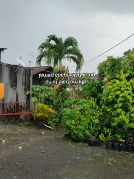 🙏🏻. #bitungpunya #manado #kotamobagu #gorontalo 