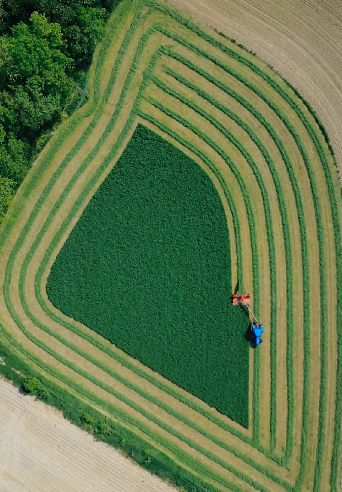 Farm Satisfying ASMR Videos 🚜🌾🌽 #fyp #asmr #satisfying #asmrvideo #satisfyingvideo #tractor #field #farmland 
