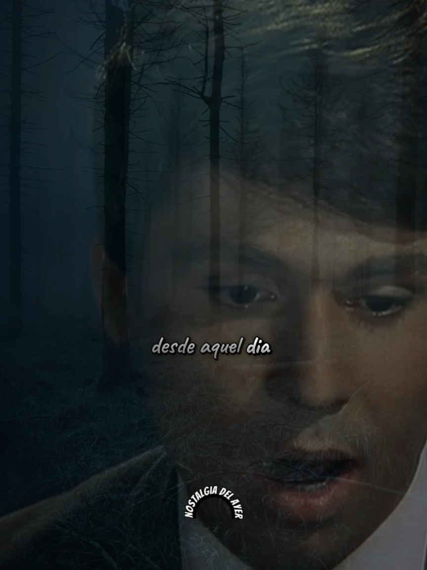 Raphael | Desde aquel día #baladasromanticas #musicaromantica #lyrics 