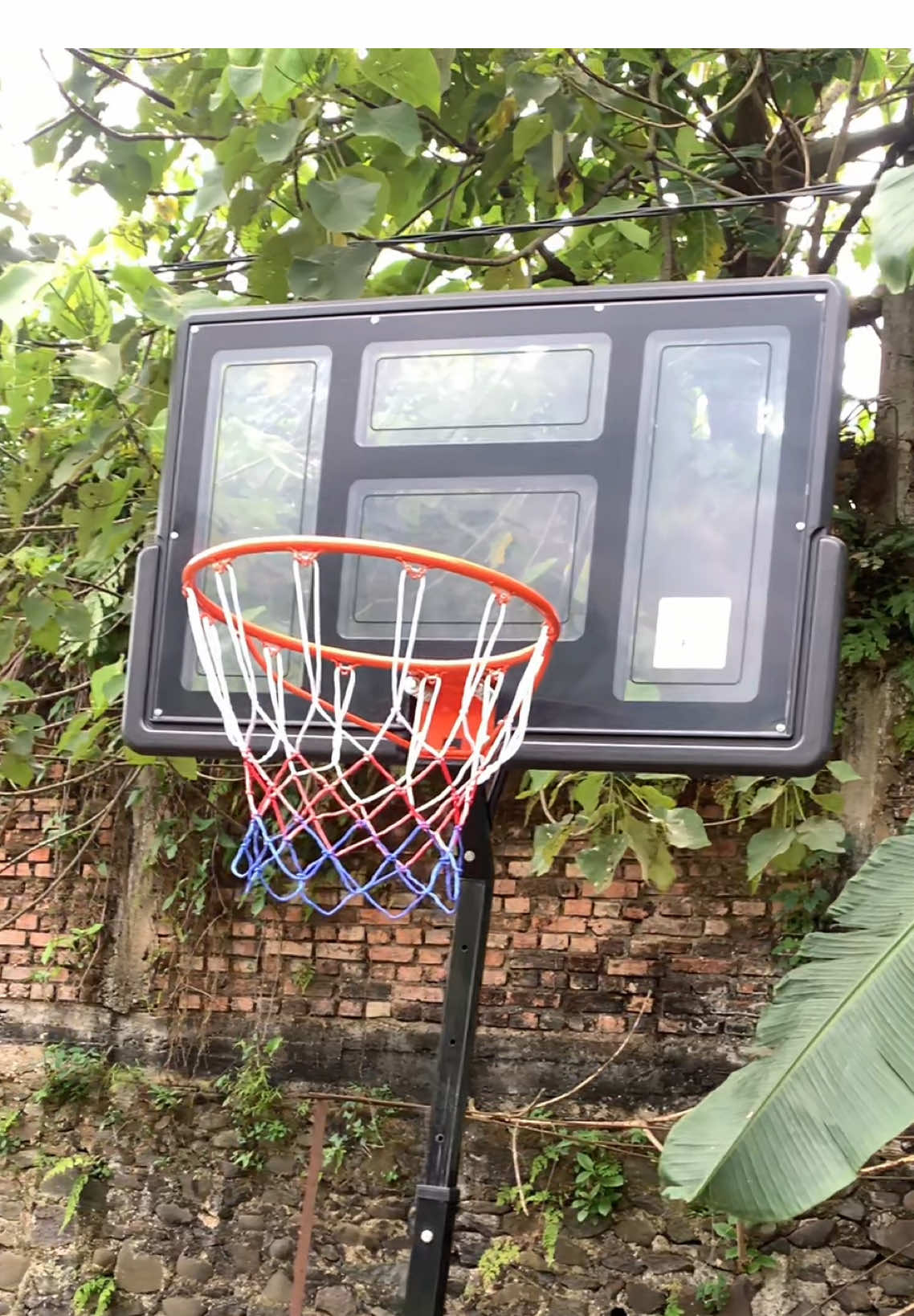 rn you can hoop easily with zhoka portable basketball stand 🏀 #basketball #hoops #basketball🏀 