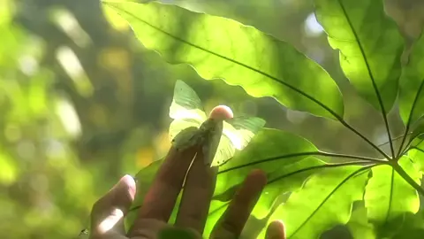 ‎ ‎ ‎ ‎ ‎ ‎ ‎ ‎ ‎ ‎ ‎ ‎ ‎ ‎ ‎ ‎ ‎ ‎ ‎ ‎ ‎ ‎ ‎ ‎ ‎ ‎ ‎ ‎  ‎ ‎ ‎ ‎ ‎ ‎ ‎ ‎ ‎ ‎ ‎ ‎ ‎ ‎ ‎ ‎ ‎ ‎ ‎ ‎ ‎ ‎ ‎ ‎ ‎  ‎ ‎ ‎ ‎ ‎ ‎ ‎ ‎ ‎ ‎ ‎ ‎ ‎ ‎ ‎ ‎ ‎ ‎ ‎ ‎ ‎ ‎ ‎ ‎ ‎  ‎ ‎ ‎ ‎ ‎ ‎ ‎ ‎ ‎ ‎ ‎ ‎ ‎ ‎ ‎ ‎ ‎ ‎ ‎ ‎ ‎ ‎ ‎ ‎ ‎ ‎ ‎ ‎ ‎ ‎ ‎ ‎ ‎ ‎ ‎ ‎ ‎ ‎ ‎ ‎ ‎ ‎ ‎ ‎ ‎ ‎ ‎ ‎ ‎ ‎ ‎ ‎ ‎ ‎ ‎ ‎ ‎ ‎ ‎ ‎ ‎ ‎ ‎ ‎ ‎ ‎ ‎ ‎#fyp #tribalrain #nature #yat00 