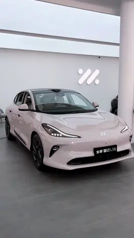 #fyp #fypシ #car #china #douyin #chinesecar #cartour #electriccar #tesla #chinatiktok #xiaomi #ev 