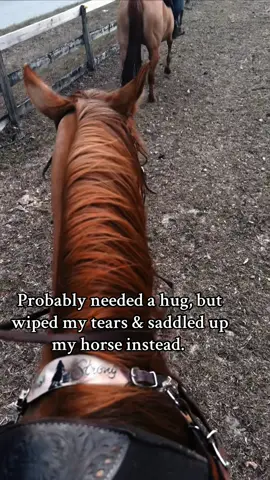 #HealingJourney #morganwallentiktok #morganwallen #imalittlecrazy #newbeginnings #horsesoftiktok #quarterhorse #fyp 