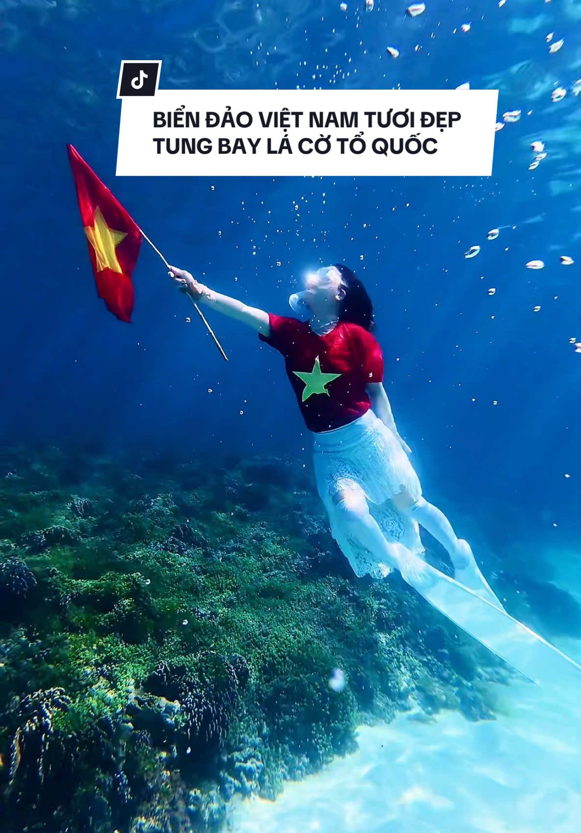 “Tôi mang theo Tổ quốc, không phải trên vai – mà trong tim. Lá cờ đỏ sao vàng tung bay giữa đại dương xanh, nơi từng làn sóng cũng biết hát quốc ca.”     Yêu đất nước, yêu biển đảo quê hương Việt Nam tươi đẹp. . #VietNam #Cờ_đỏ_sao_vàng #Biển_đảo #Đại_Lễ #Freedive #Phú_Quý #HuyenMinaKim 