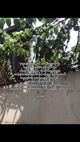 #fyp #views #moost? #viral #crdtext 