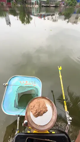 hàng gì đây 🤣🤣 #thichcauca🎣 #caucagiaitri #caudaitunhien #cauca 