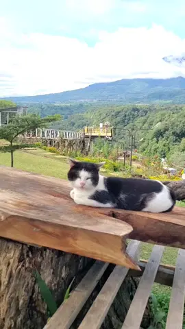 #1 this is not yesterday, but now @panorama.baru  #panoramabaru #tamanpanoramabaru #tamanwisatapanoramabaru #ip3b #bukittinggi #wisatabukittinggi #wonderfulindonesia #ayokebukittinggi 