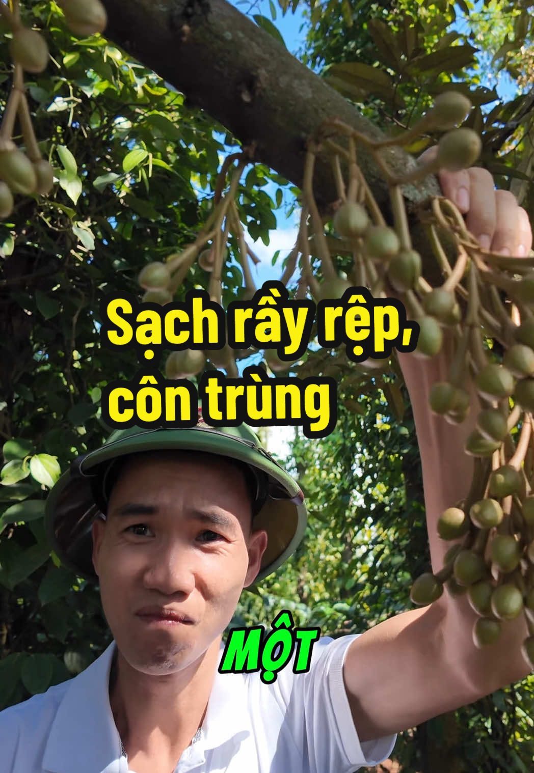 Thuốc trừ sâu Top 1. Diệt sạch rầy rệp, côn trùng, sâu hại cực hiệu quả