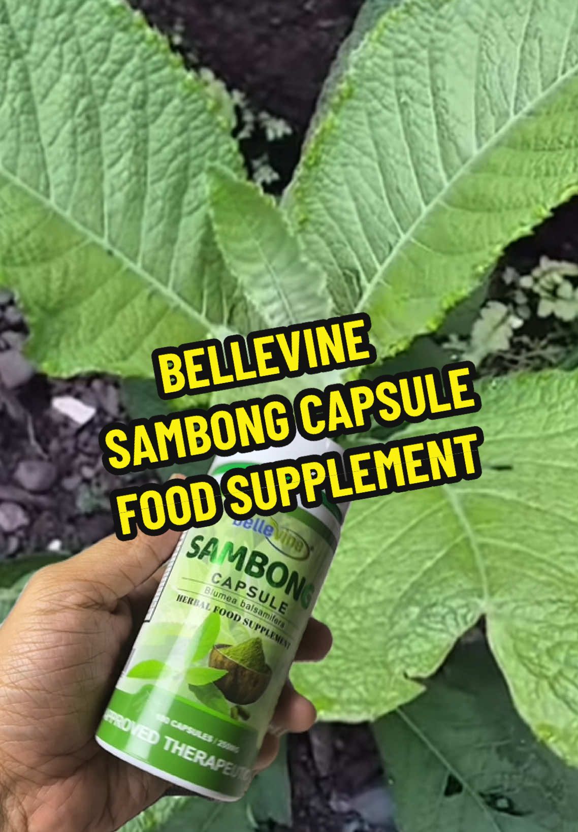 UNLOCK THE BENIFITS OF SAMBONG CAPSULE SUPPLEMENT #sambong #sambongpowder #organicsambong #puresambong #sambongcapsule #sambongsupplement #kidneyhealth #uti #urinarytracthealth #bellevine @BELLEVINE PHILIPPINES 