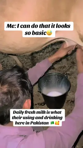life in Pakistan is so simple, people are humble and very hospitable,but only this cow has less patience on me here😅🤣#fyppppppppppppppppppppppp #foryoupage #pakistan #foryoupage #Pinayinmultan #bestmoments #pakpinaycouple🇵🇰💕🇵🇭 
