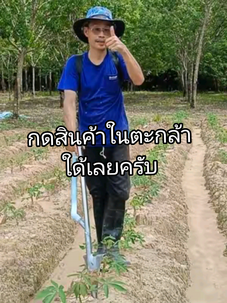 อุปกรณ์ใส่ปุ๋ยมันใด้ปุ๋ยตรงๆทุกต้น ไม่ต้องจ้างใครเลย #เครื่องพ้นปุ๋ย 