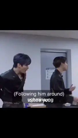 ходит только за ним #han #leeknow #minsung 