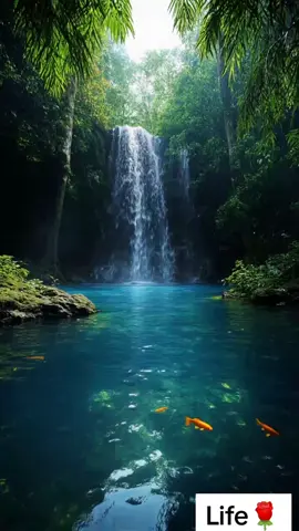 Love Life Love Nature Love Yourself Be Happy Alway 😊  #naturevibes #naturelove #waterfall #3dlivewallpaper  #fyp #tiktokviral 