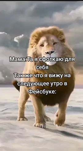 Лев — вид хищных млекопитающих, один из пяти представителей рода пантер, относящегося к подсемейству больших кошек в составе семейства кошачьих. Наряду с тигром — самая крупная из ныне живущих кошек, масса некоторых самцов может достигать 250 кг. Трудно сказать достоверно, кто массивнее: крупнейшие подвиды льва или крупнейшие подвиды тигра. Связано это с тем, что известные очень большие массы амурских тигров в большинстве своём признаны недостаточно достоверными. Достаточными данными о размерах и массе представителей крупнейших подвидов льва наука не располагает. Что касается живущих в неволе животных, они часто являют собой смешение разных подвидов. Существует мнение, что львы в неволе несколько превышают тигров в размерах и массе #CapCut #хочуврек #рекомендации #рек #recommendations #fypシ゚ #fyp #смехуятина 