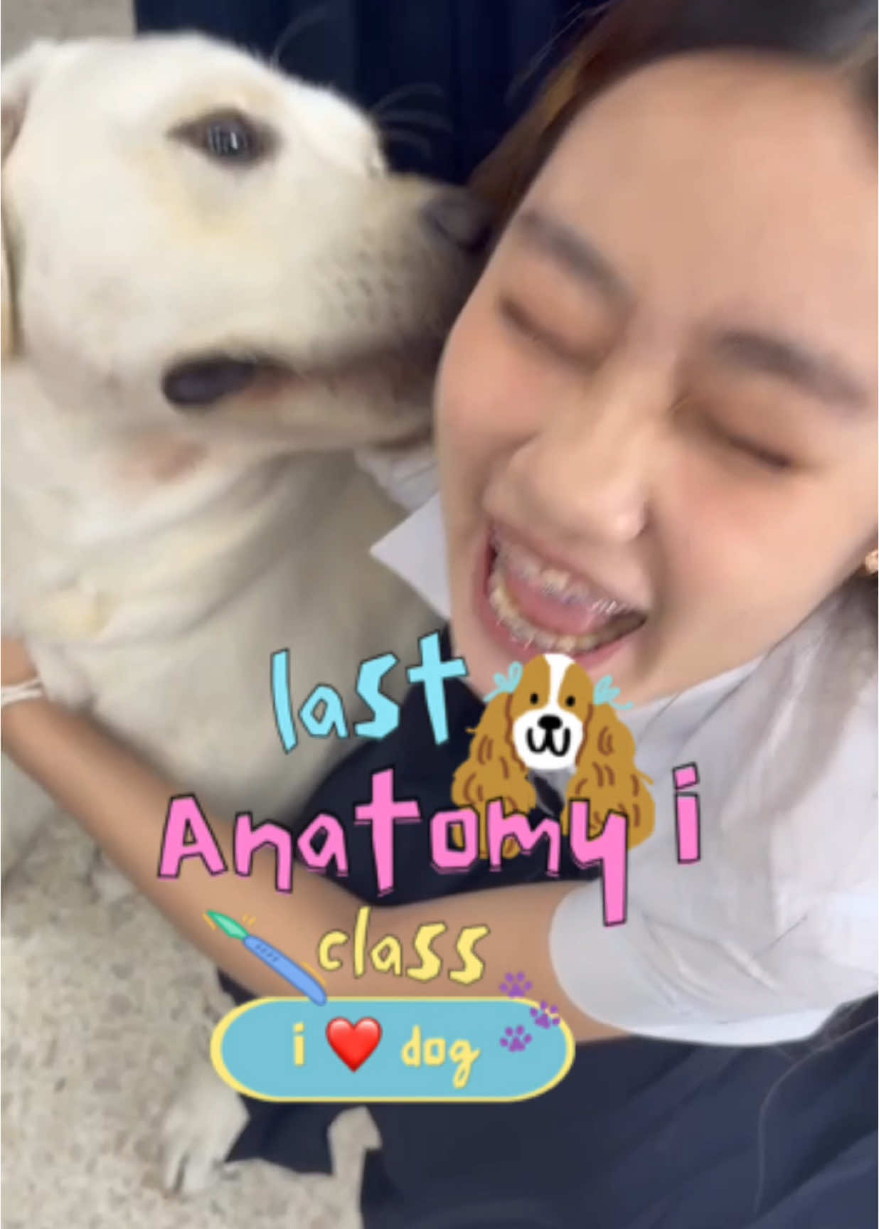 รักอนาโต1วัน #cuvet #นิสิตสัตวแพทย์ #vetstudent #ดอกฟ้ากับหมาวัด #chulalongkornuniversity #สัตวะจุฬา #4legHero #SDG3_GoodHealth&WellBeing #CuvetAnatomy, #CUvet90 #SDG4_QualityEducation #ZeroFormalin #LiveDogAnatomy #CuteDogsForever