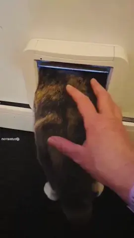 #funnyanimals #cuteanimals #pets #fyp 