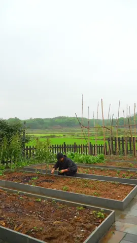 #foodtiktok #countrylife #calming 