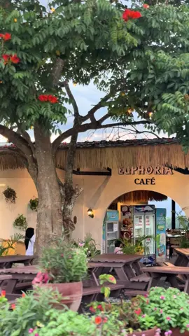 At Euphoria Ph | Tupi, South Cotabato