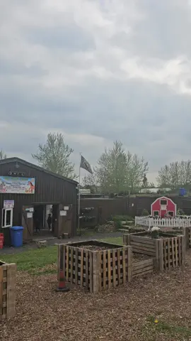 #foryoupage #farmTrip🐐🐏🐓🦚🪿#fypシ゚ #niceWeather #Alhamdullilah #fypシ゚ #fypシ゚viral🖤tiktok ##fypシ゚ 