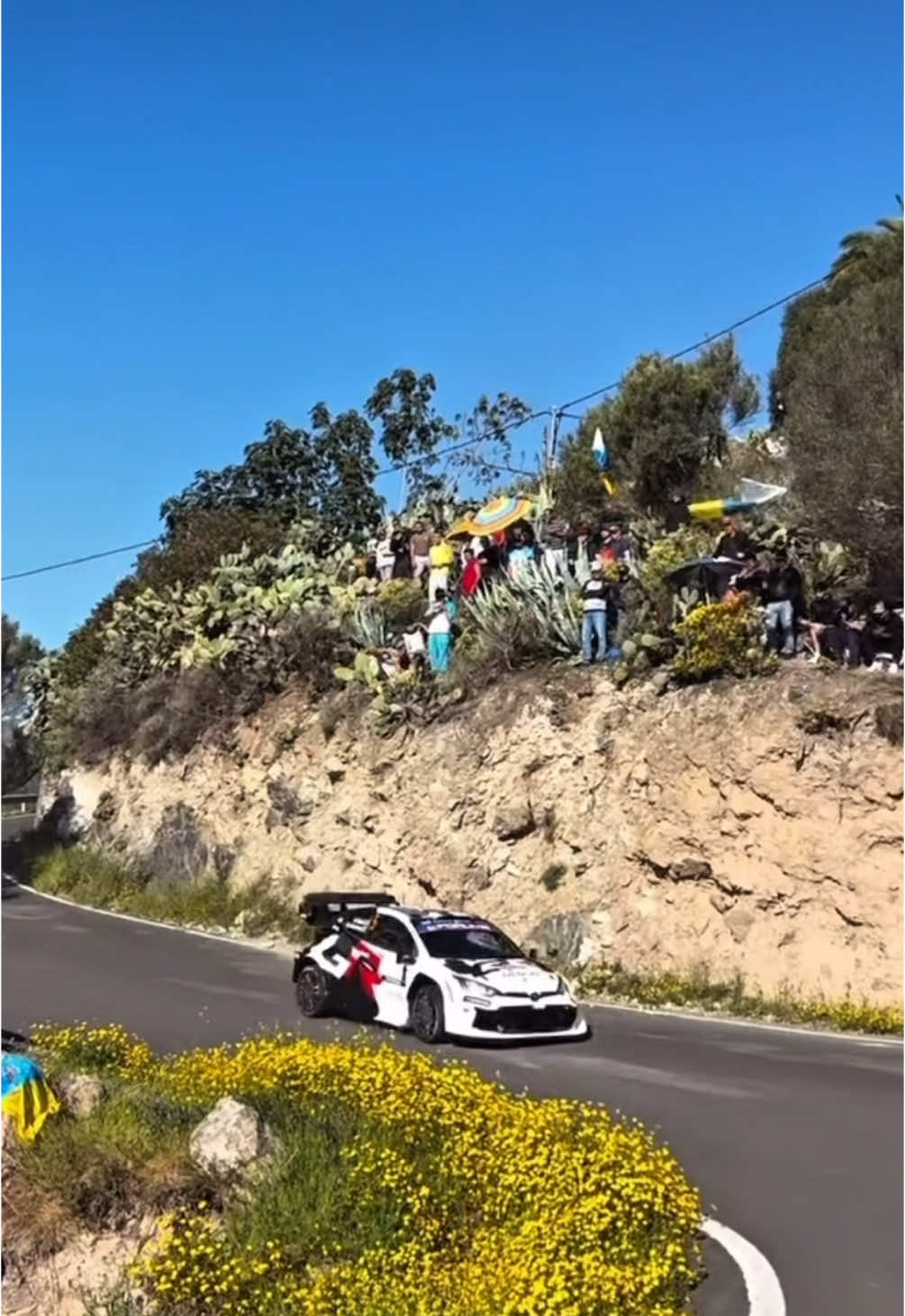 Beautiful hairpins at #WRC islas canarias 2025🔥@TOYOTA GAZOO Racing WRT @M-Sport UK Ltd. #rally #maxattack #2025 #fyppp #fyp #pourtoi #rallye 