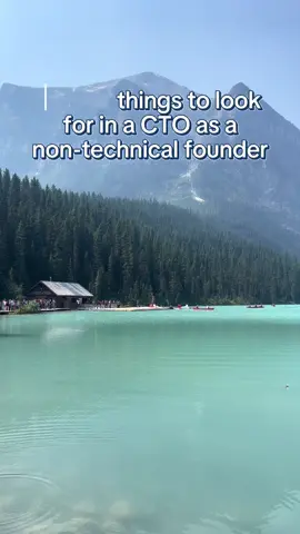 What to look for in a CTO as a non-technical founder #tech #startup 