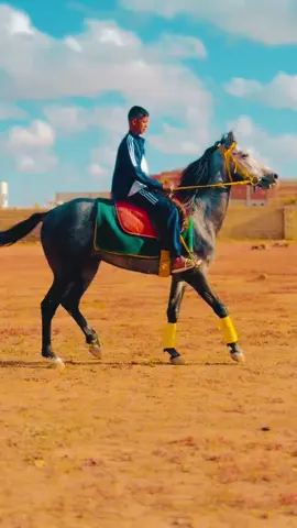 #مصطفي_الدليمي🏅 #خيل_وخياله🐎🖤ماشاءالله_اللهم_بارك🧿♥️ #بنغازي_طرابلس_ترهونه_رجمة_سرت_طبرق🇱🇾❤ 