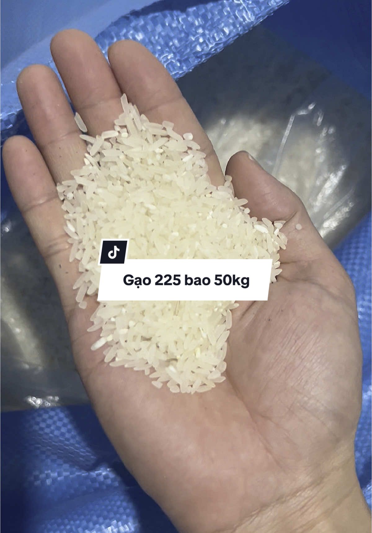 Gạo 225 bao 50kg. #xuhuong #gaoan #gao225 #khothanhlanhchore 