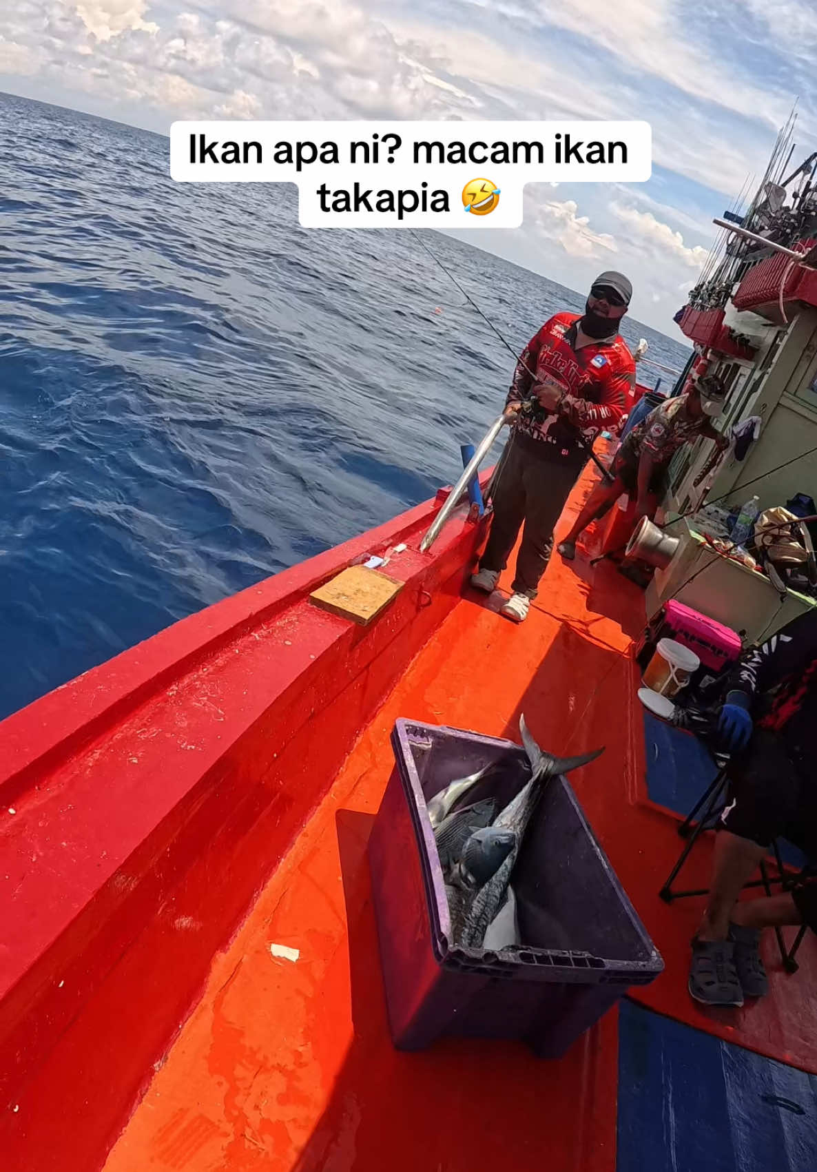 Tengah rehat santai2 tiba2 ikan ni datang. Roti gardenia pun jadi umpan 🤣. Masalahnya seronok jugak layan hahaha 