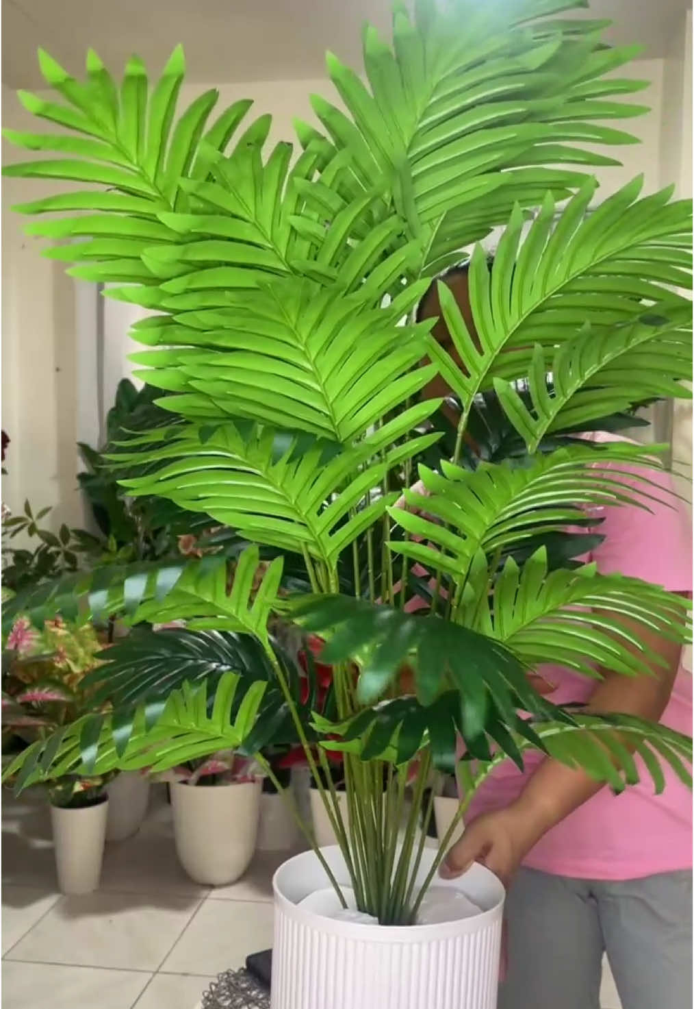 Artificial Palmera Plant Collection On Sale‼️#artificialplants #artificialplant #plantdecor #homedecor #homeimprovement 