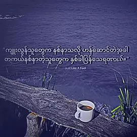 #ကျူးလွန်သူတွေကနစ်နာသလိုဟန်ဆောင်တဲ့အခါ  တစ်ကယ်နစ်နာသူတွေက နှစ်ခါပြန်သေရတယ်#crd #ဒီတစ်ပုဒ်တော့fypပေါ်ရောက်ချင်တယ် #ညတင်ရင်viewမတက်🙂 #fyppppppppppppppppppppppp 