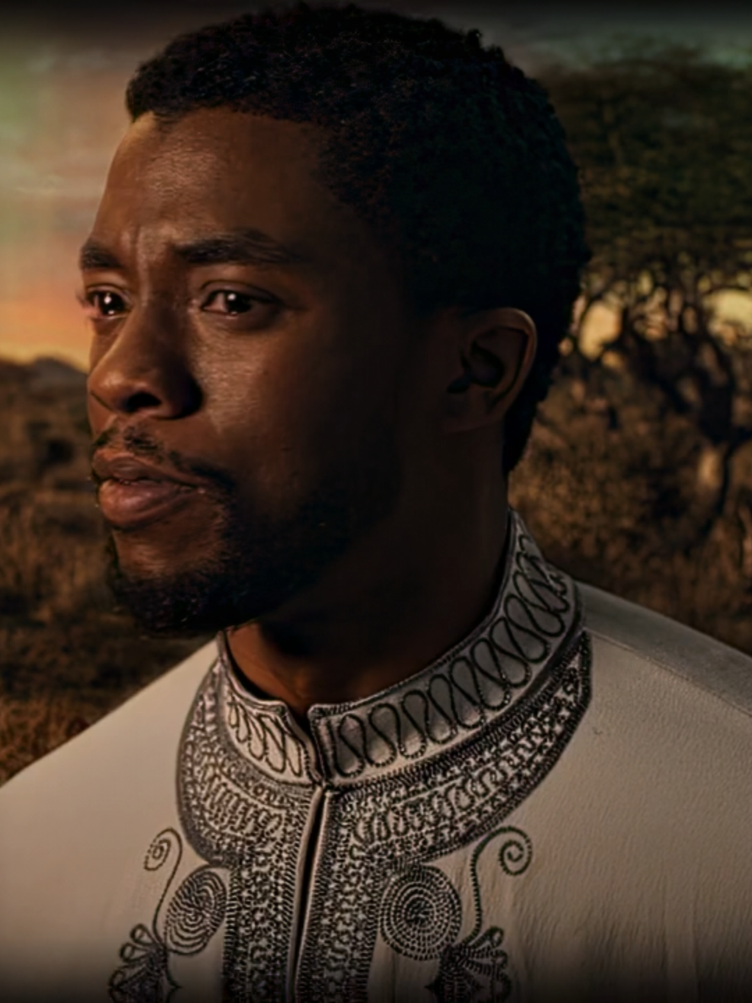_In My Culture Death Is Not The End_ - Chadwick Boseman x Black Panther Edit _ All The Stars Slowed -- #edits #blackpanther #chadwickboseman #blackpantheredit #avengers #mcu #4k #aftereffectsedits #nfkingedits #edit #foryoupagе #fyp