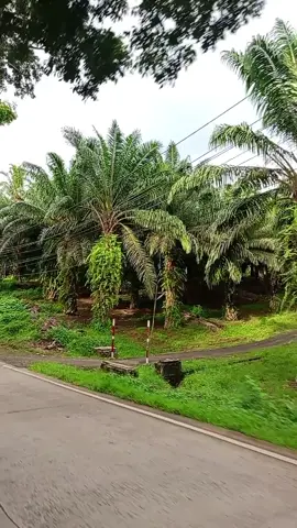 kabupaten Lebak jln raya Malingping saya suka pemandangan yh gaees🥰🥰