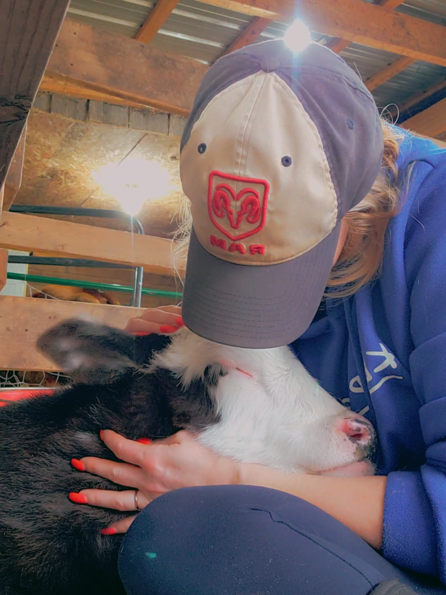 #AmeliaGrace #cowtherapy #bestbirthdaypresentever 