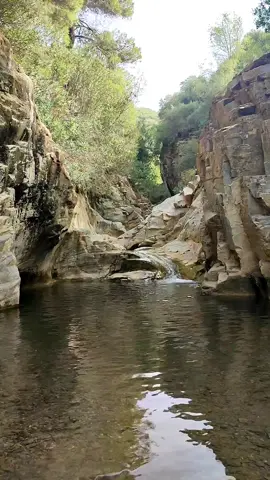 Zonday, Hamdania, Médéa, Algeria. #Hiking #algeria #cascade #tourisme #nature #waterfall #fyp 