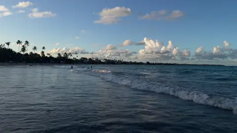 🌊… #paisajes #paisagem #poisontree #song #beachvibes #vibes  #mar #viralvideos #fyy #fyp #praia 
