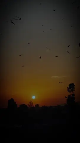 Feel This Song 🥺💔#foryou #viral_video #foryoupagе #cptntypiest #unfreezemyacount #foryou #viral_video #foryoupagе #cptntypiest #unfreezemyacount 