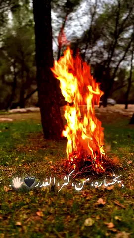 بس يخساره من كثر الغدر 🖤🖐🏻.#نعيم_الشيخ #fyp #هاشتاق #مجرد_ذووقツ🖤🎼 