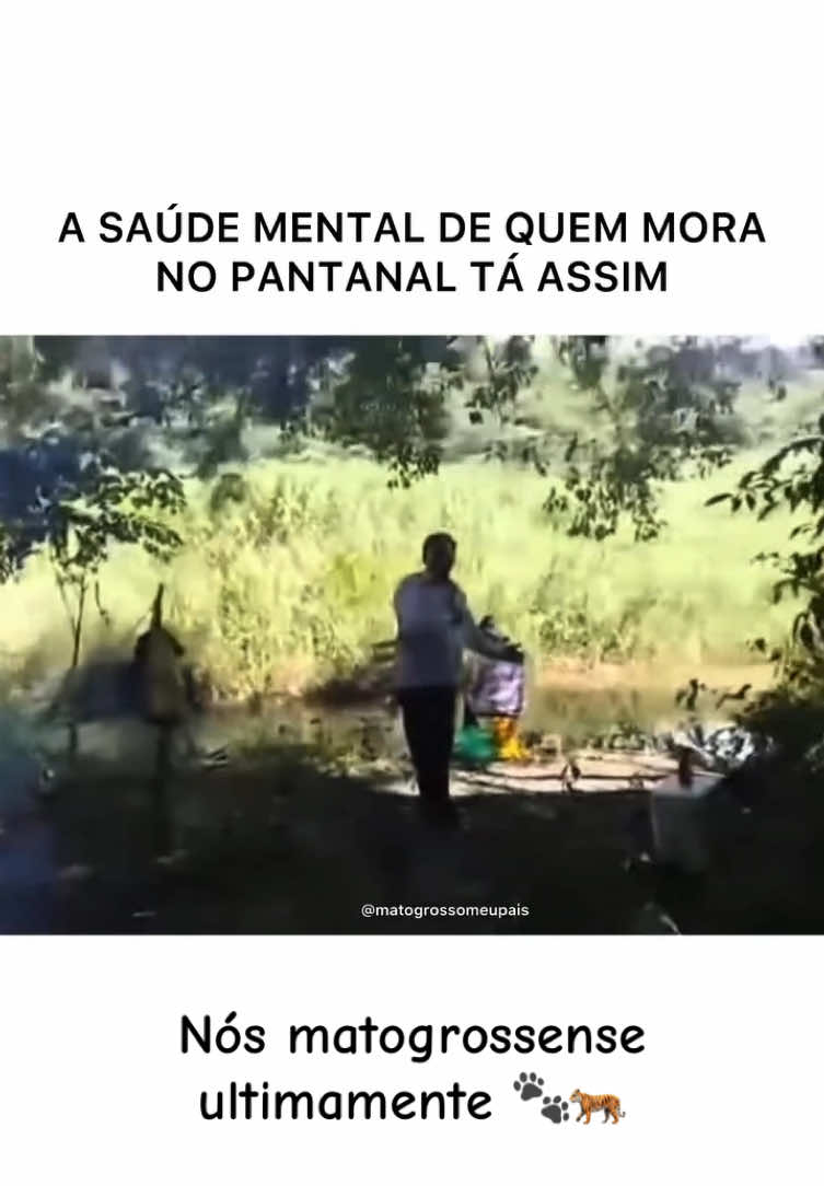 Nesse modelo🐾🐅😂 #panta #matogrosso #pantanal #susto #onca #oncapintada #cuidados #mata #pantanalmt #poconemt #vida #mentemilionaria #visao #oncapintada #sustosquedangusto 